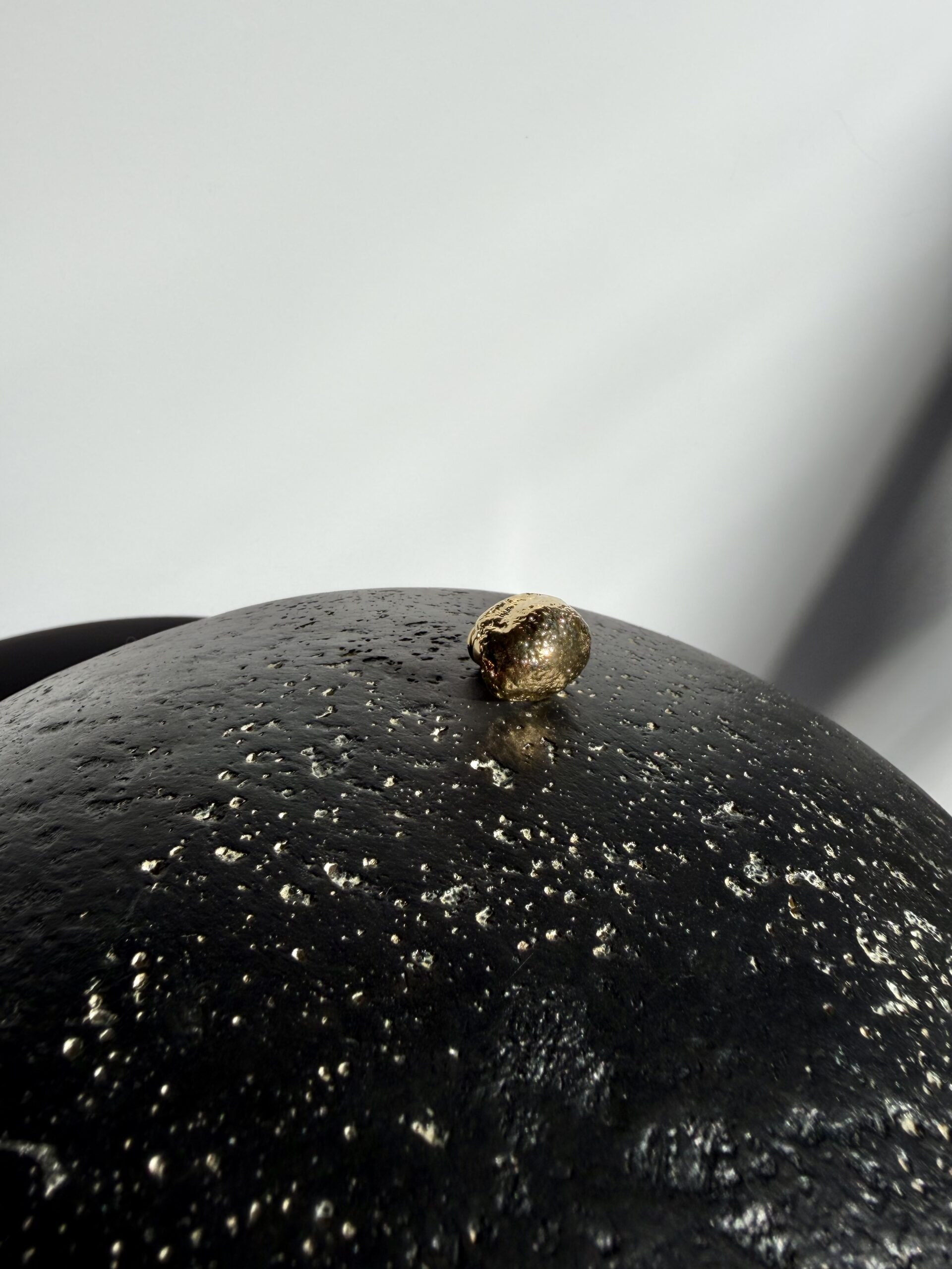 Broche BEETLEROSE – Image 3