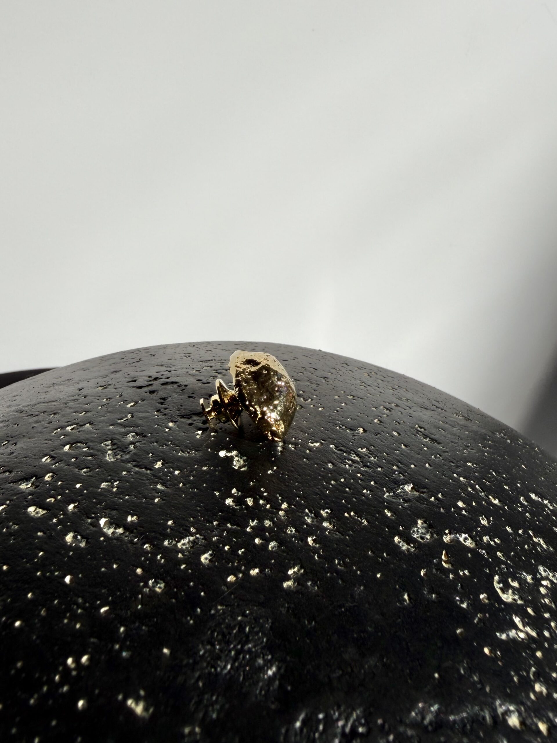 Broche BEETLEROSE – Image 5