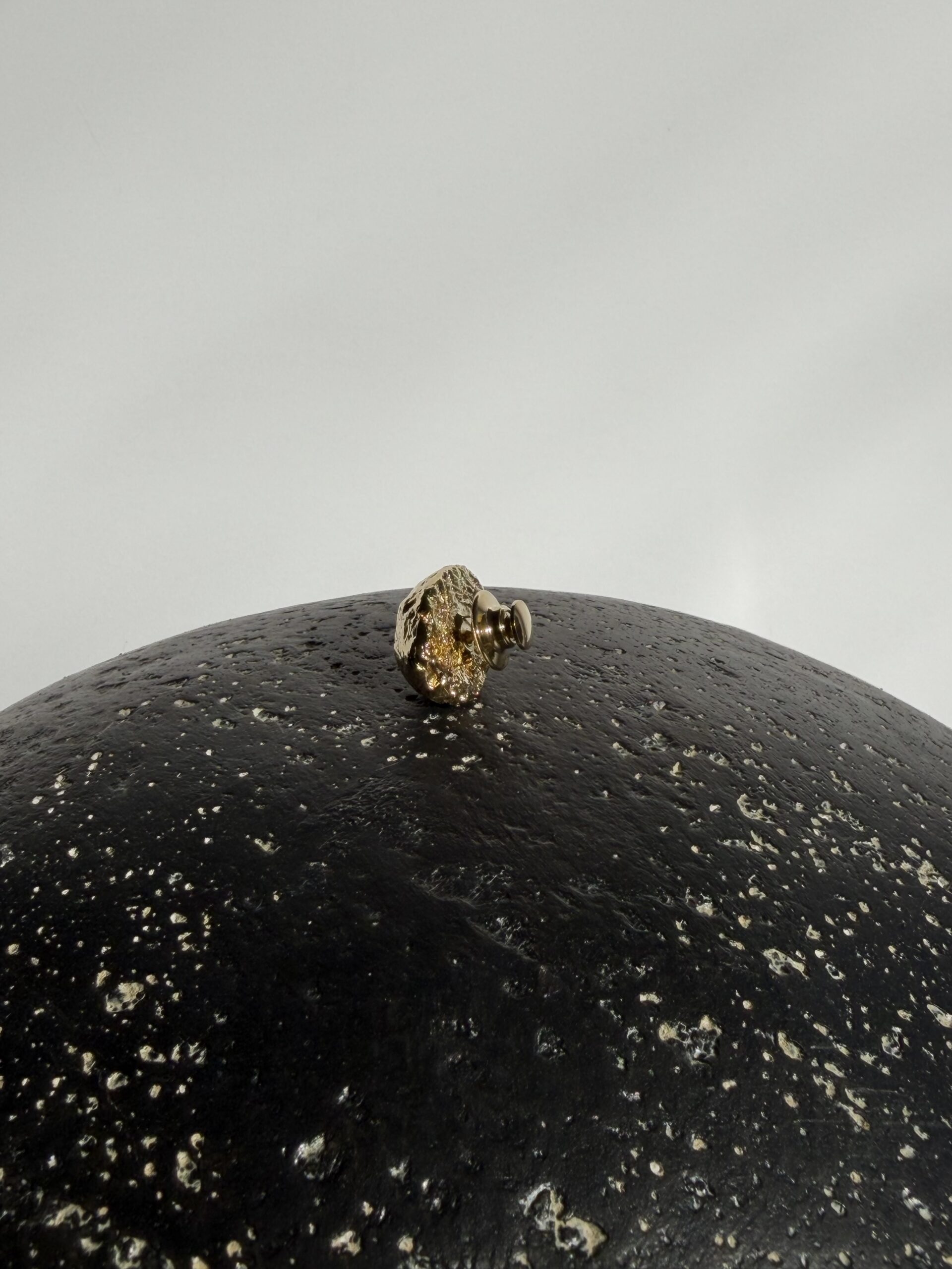 Broche BEETLEROSE – Image 4