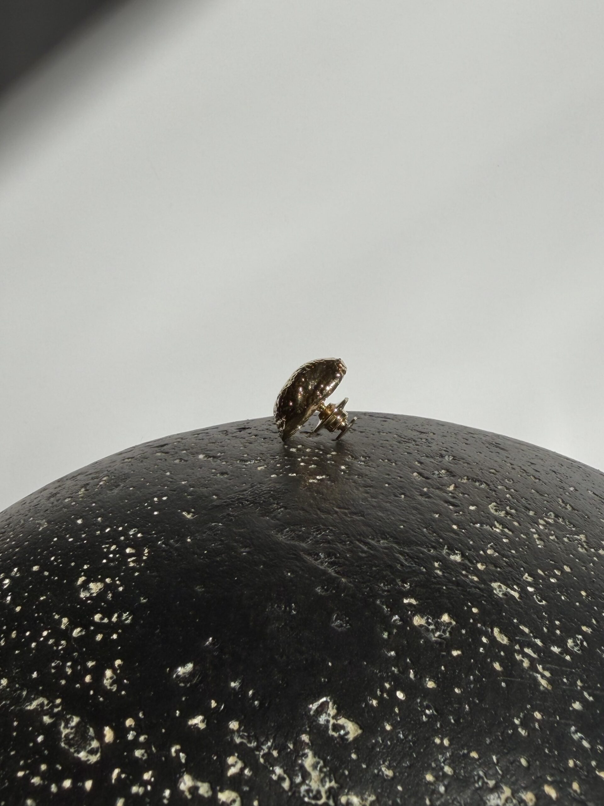 Broche BEETLEROSE – Image 2